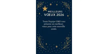 Meilleurs Vœux 2026