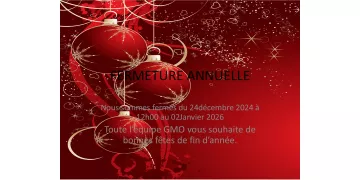 Bonnes fêtes de fin d'année!