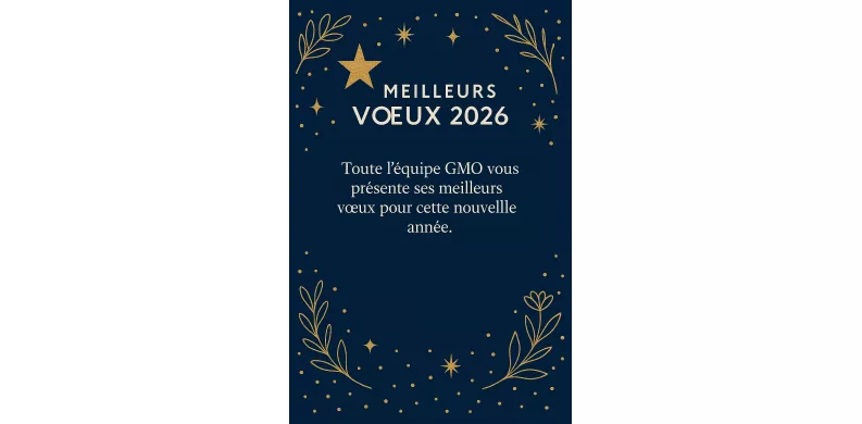 Meilleurs Vœux 2026