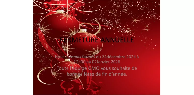 Bonnes fêtes de fin d'année!